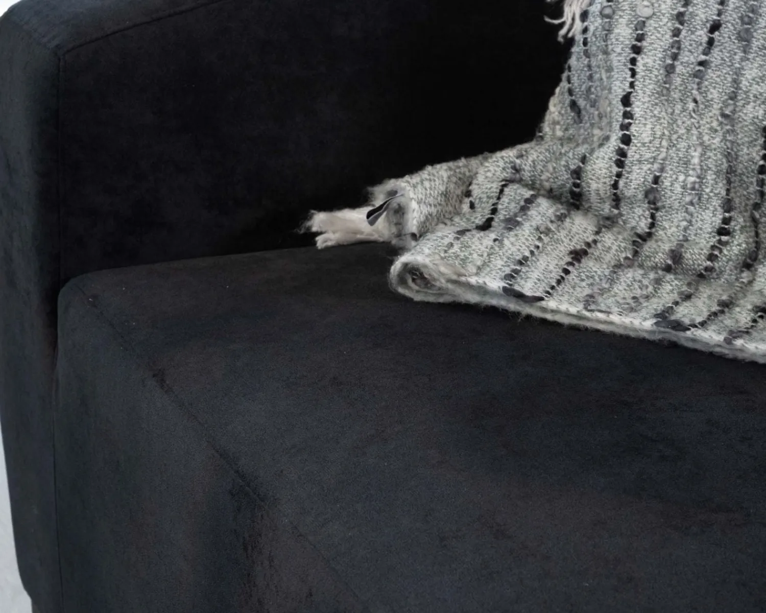 Meuble House Canapé modulaire design en velours anthracite "Skult" 2/3 places Sale