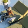 Meuble House Double bain de soleil haut de gamme vert et noir "Terrasse" Best