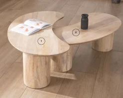 Meuble House Duo de tables basses design épuré en manguier 