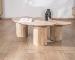 Meuble House Duo de tables basses design épuré en manguier 