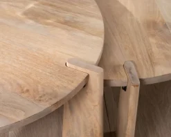 Meuble House Duo de tables basses rondes en manguier naturel