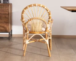 Meuble House Elégant fauteuil de jardin en rotin avec assise rembourrée
