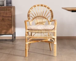 Meuble House Elégant fauteuil de jardin en rotin avec assise rembourrée