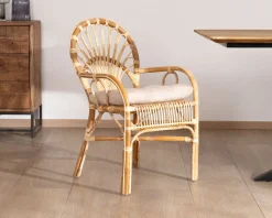 Meuble House Elégant fauteuil de jardin en rotin avec assise rembourrée