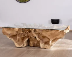 Meuble House Table basse en racine de teck naturel avec plateau verre rectangulaire "Jungle"